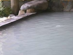 【季節のおすすめ】5％OFF！【素泊まりプラン】～大涌谷温泉で湯っくりと～の画像