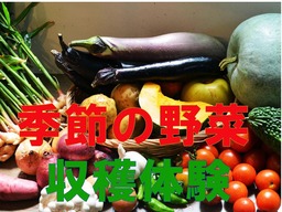 【野菜収穫体験】収穫した野菜はお土産に！　手作り豆腐会席を味わう！スタンダード＜2食付＞の画像