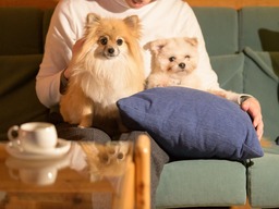【愛犬と同室宿泊】開放感溢れるニドムコテージに愛犬とお泊まり！＜朝食付きプラン＞の画像