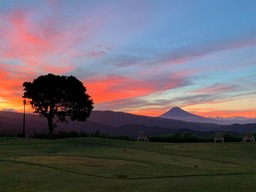 【季節のおすすめ】朝食付きが期間限定でお得！最終チェックイン23時までOK！の画像